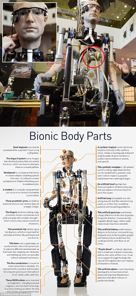 Frank, first bionic robot
