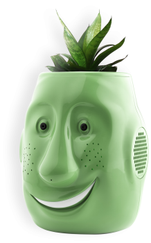 Billy-Billy, the interactive flowerpot